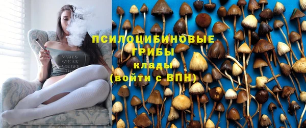 не бодяженный Богородск