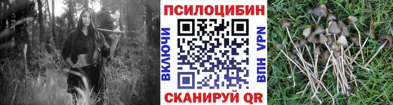KRAKEN tor  даркнет какой сайт  Галлюциногенные грибы мухоморы  Давлеканово 